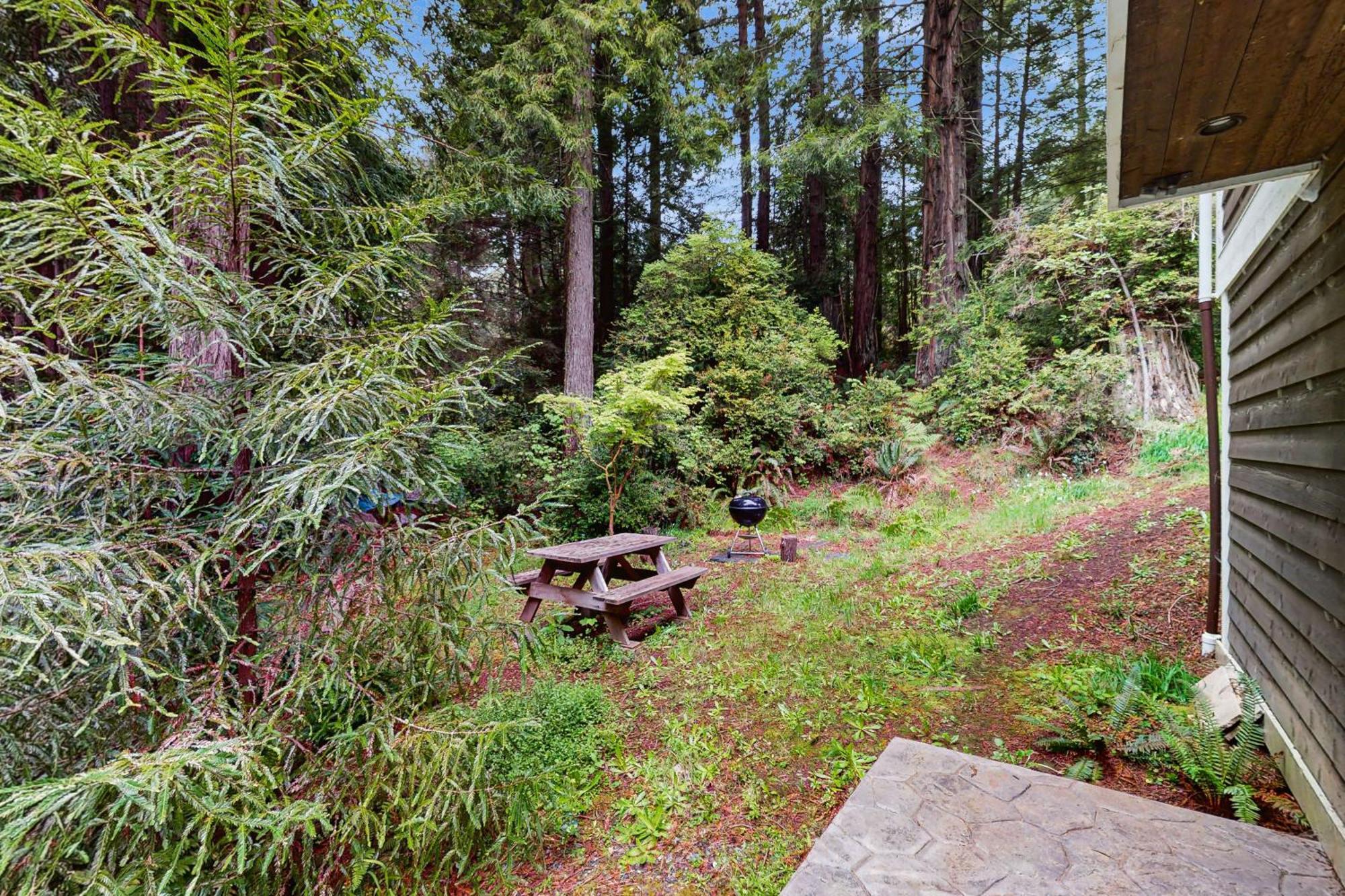 Serene Redwood Retreat Arcata Zewnętrze zdjęcie