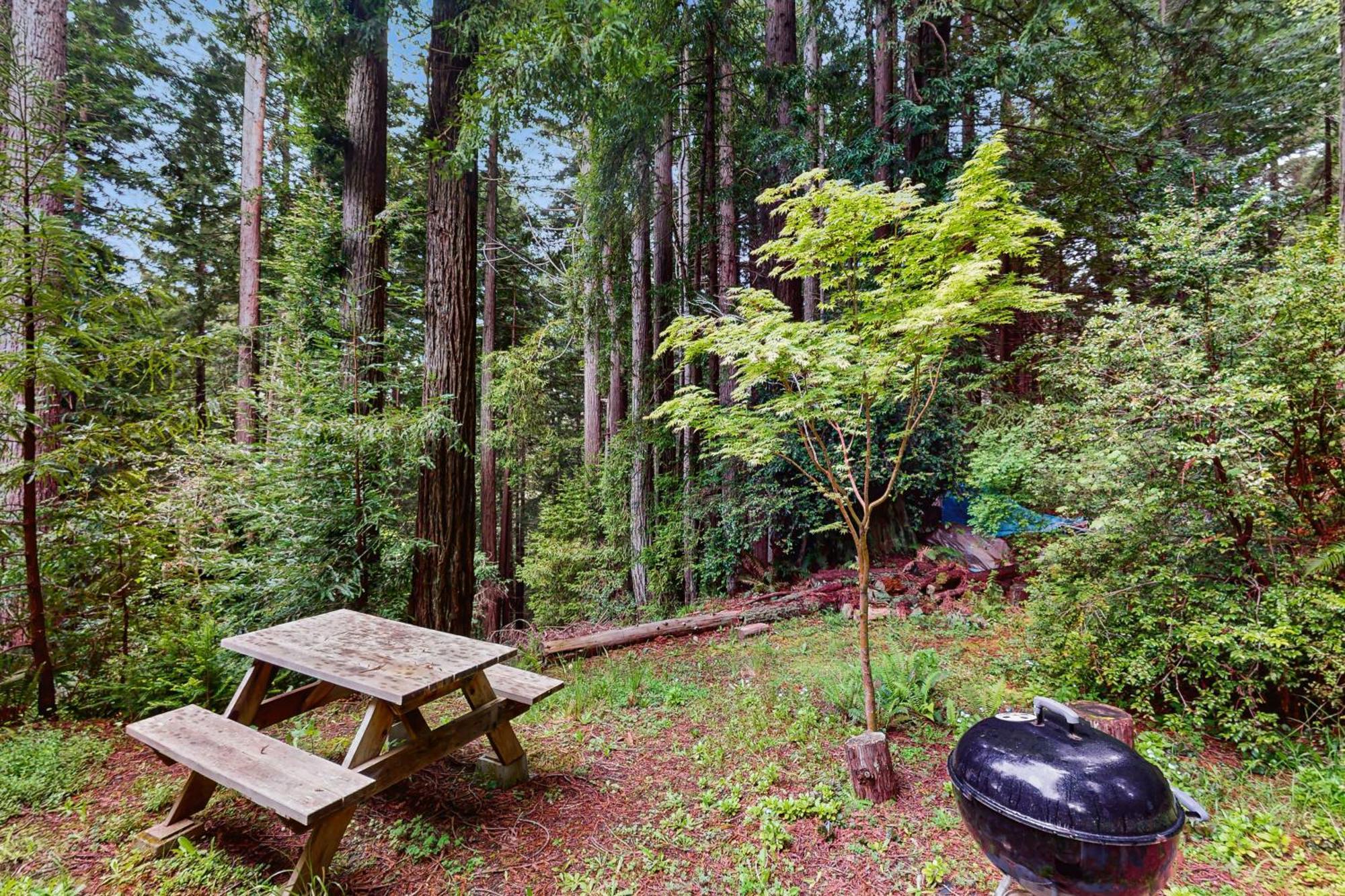 Serene Redwood Retreat Arcata Zewnętrze zdjęcie
