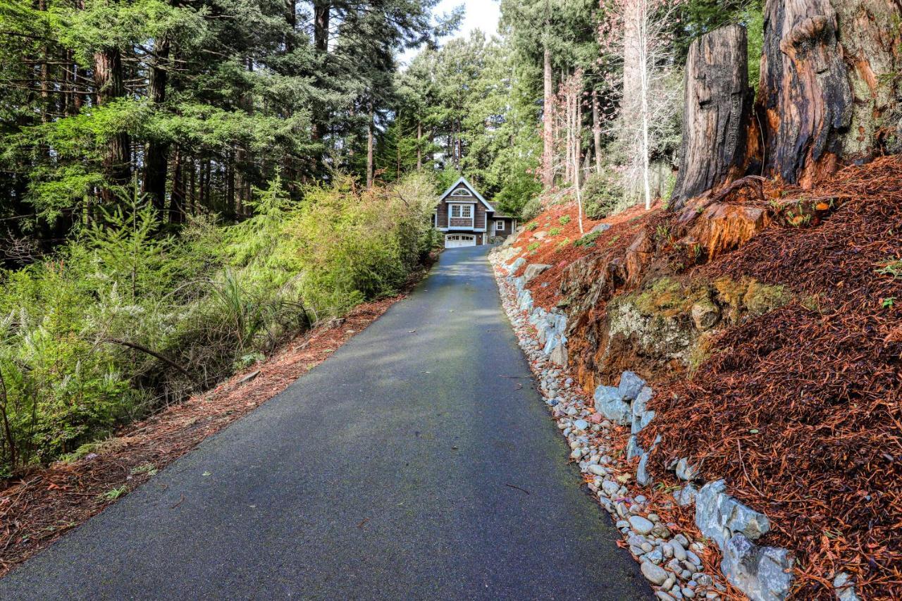 Serene Redwood Retreat Arcata Zewnętrze zdjęcie