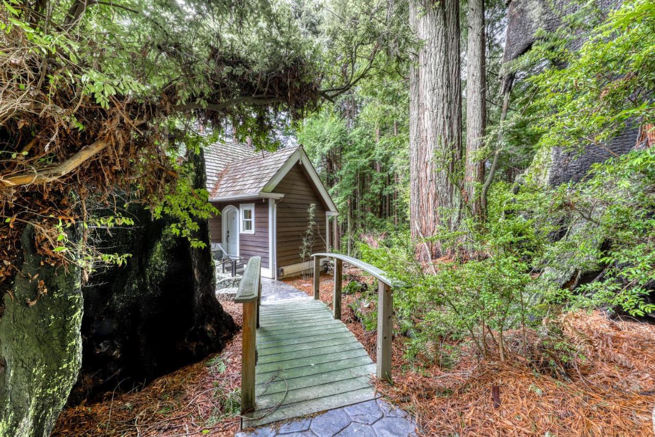 Serene Redwood Retreat Arcata Zewnętrze zdjęcie